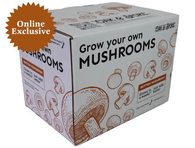 Button Mushroom Grow Kit